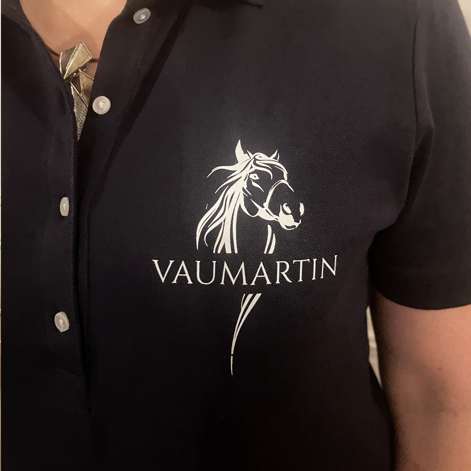 POLO – Image 3