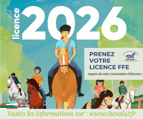 LICENCE ADULTE 2026