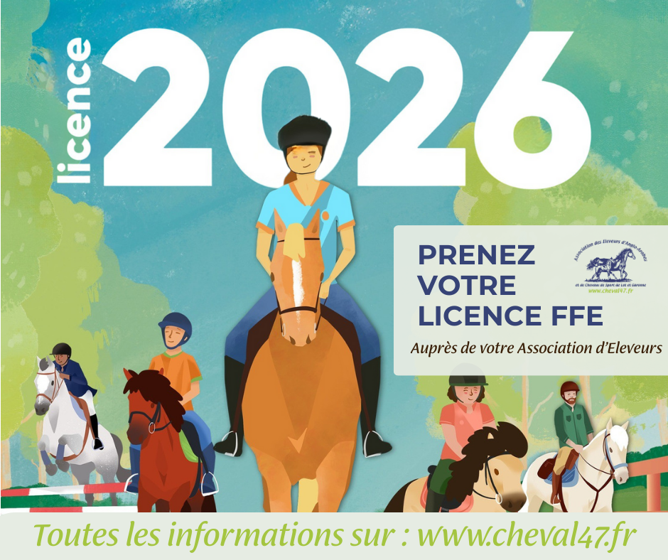 LICENCE ADULTE 2026
